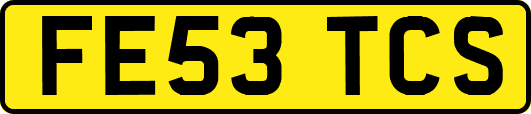 FE53TCS