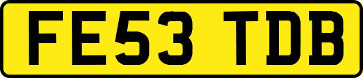 FE53TDB