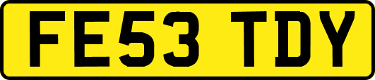 FE53TDY