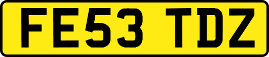 FE53TDZ