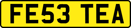 FE53TEA