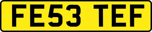 FE53TEF