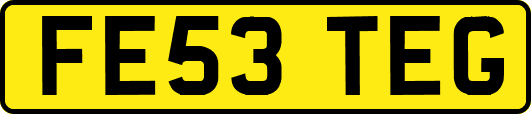 FE53TEG