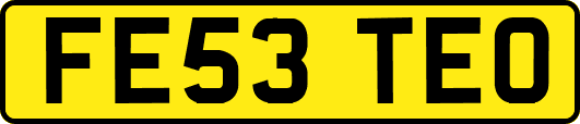 FE53TEO