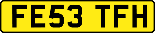 FE53TFH