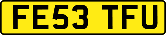 FE53TFU