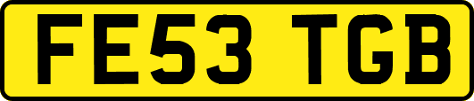 FE53TGB