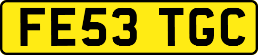 FE53TGC