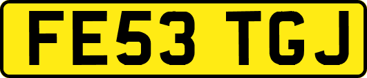 FE53TGJ