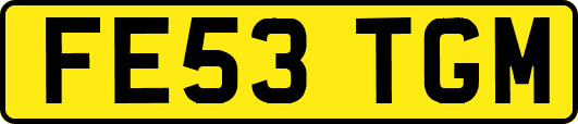 FE53TGM