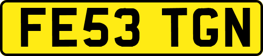 FE53TGN