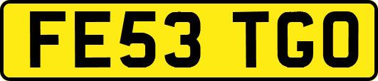FE53TGO