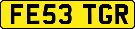 FE53TGR