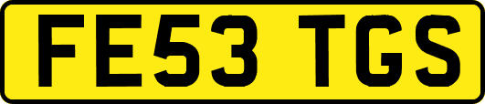 FE53TGS
