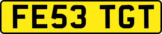 FE53TGT