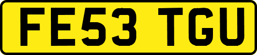 FE53TGU