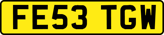 FE53TGW