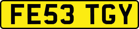 FE53TGY