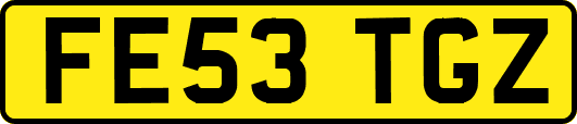 FE53TGZ