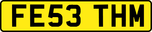 FE53THM
