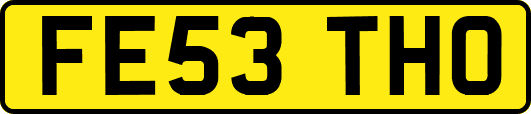 FE53THO