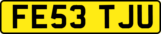 FE53TJU