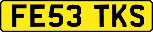 FE53TKS