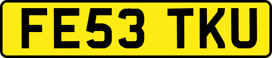 FE53TKU