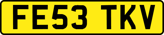 FE53TKV