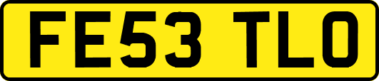 FE53TLO