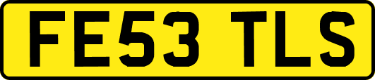 FE53TLS