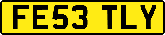 FE53TLY
