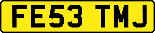 FE53TMJ