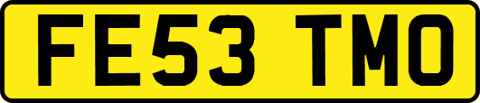 FE53TMO