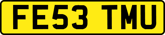 FE53TMU