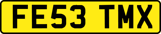 FE53TMX