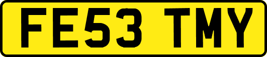 FE53TMY