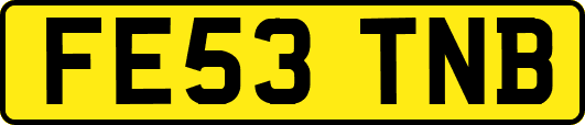 FE53TNB