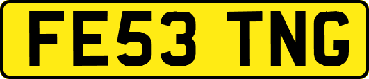 FE53TNG