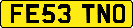 FE53TNO