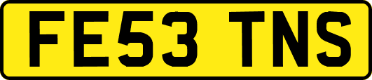 FE53TNS