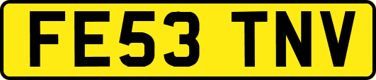 FE53TNV