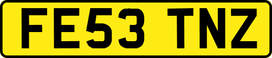 FE53TNZ