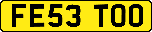 FE53TOO