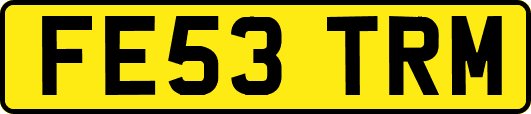 FE53TRM