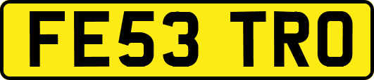 FE53TRO