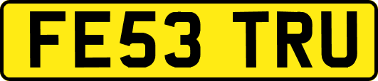 FE53TRU