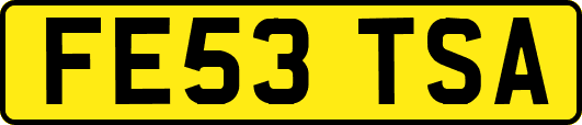 FE53TSA
