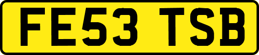 FE53TSB
