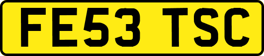 FE53TSC